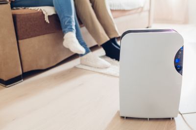 Dehumidifier Service